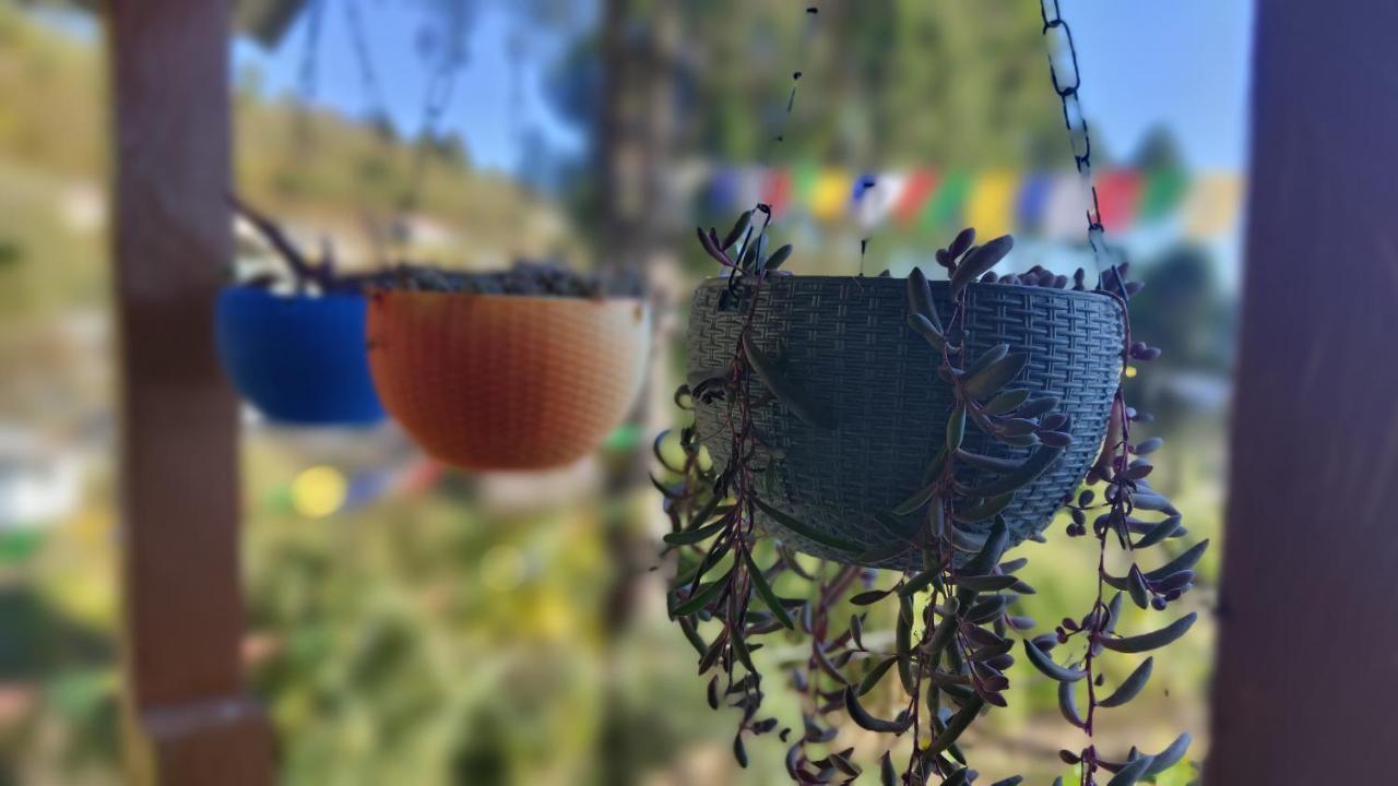 Tenzo Homestay Bomdila Εξωτερικό φωτογραφία